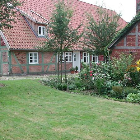 Ferienwohnung Am Elbdeich Bleckede Kültér fotó